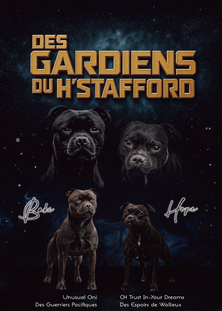 Hope est gestante !!!